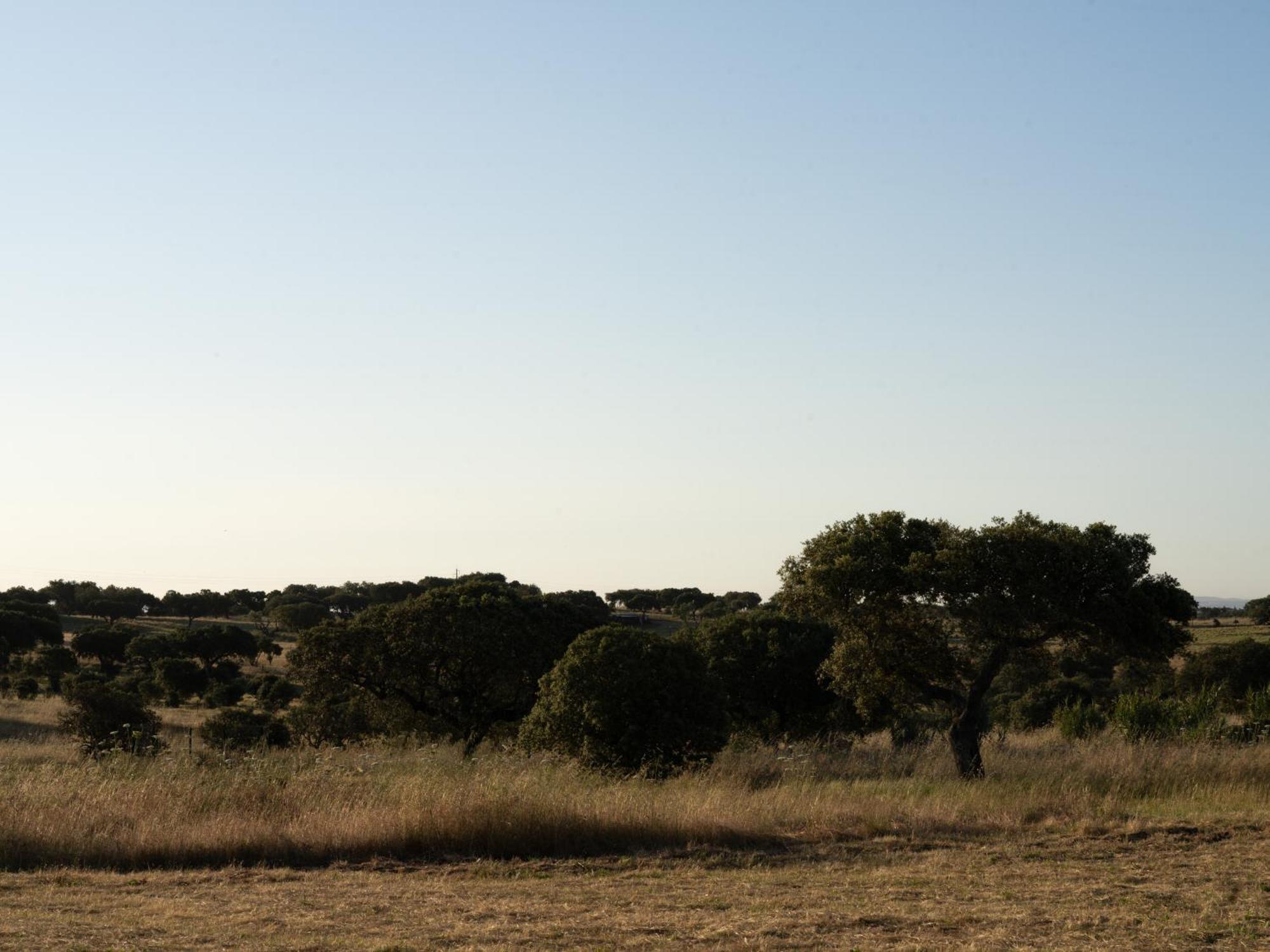 Change The World - Herdade Monte Do Peral Montes Juntos Exteriör bild