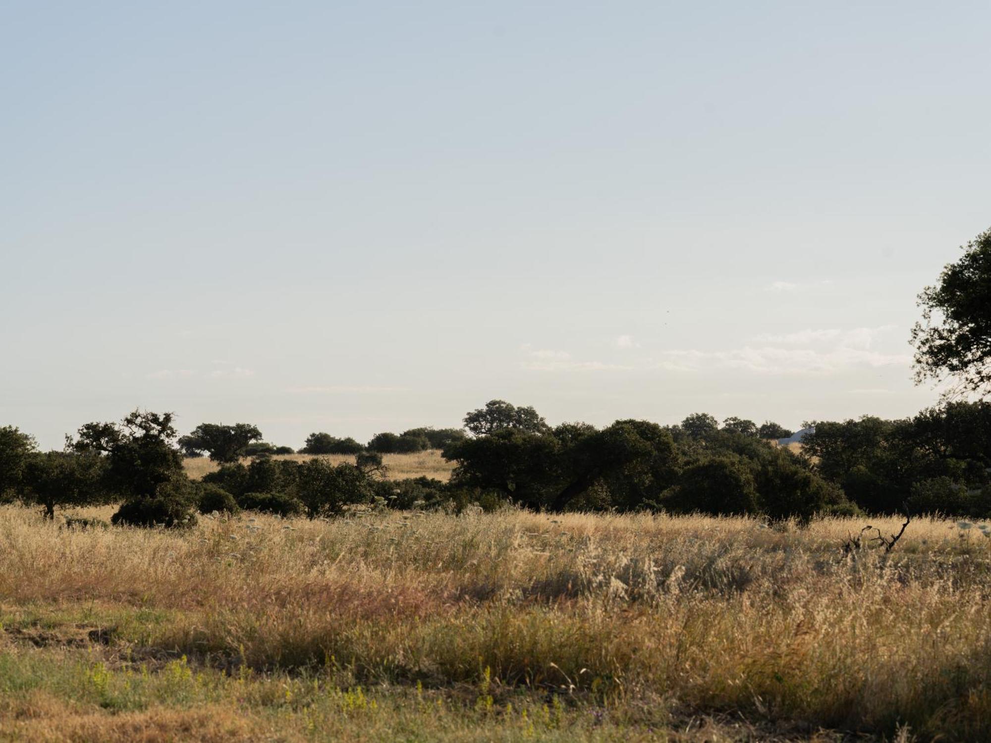 Change The World - Herdade Monte Do Peral Montes Juntos Exteriör bild